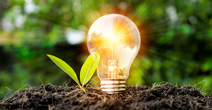 Lightbulb glowing in soil