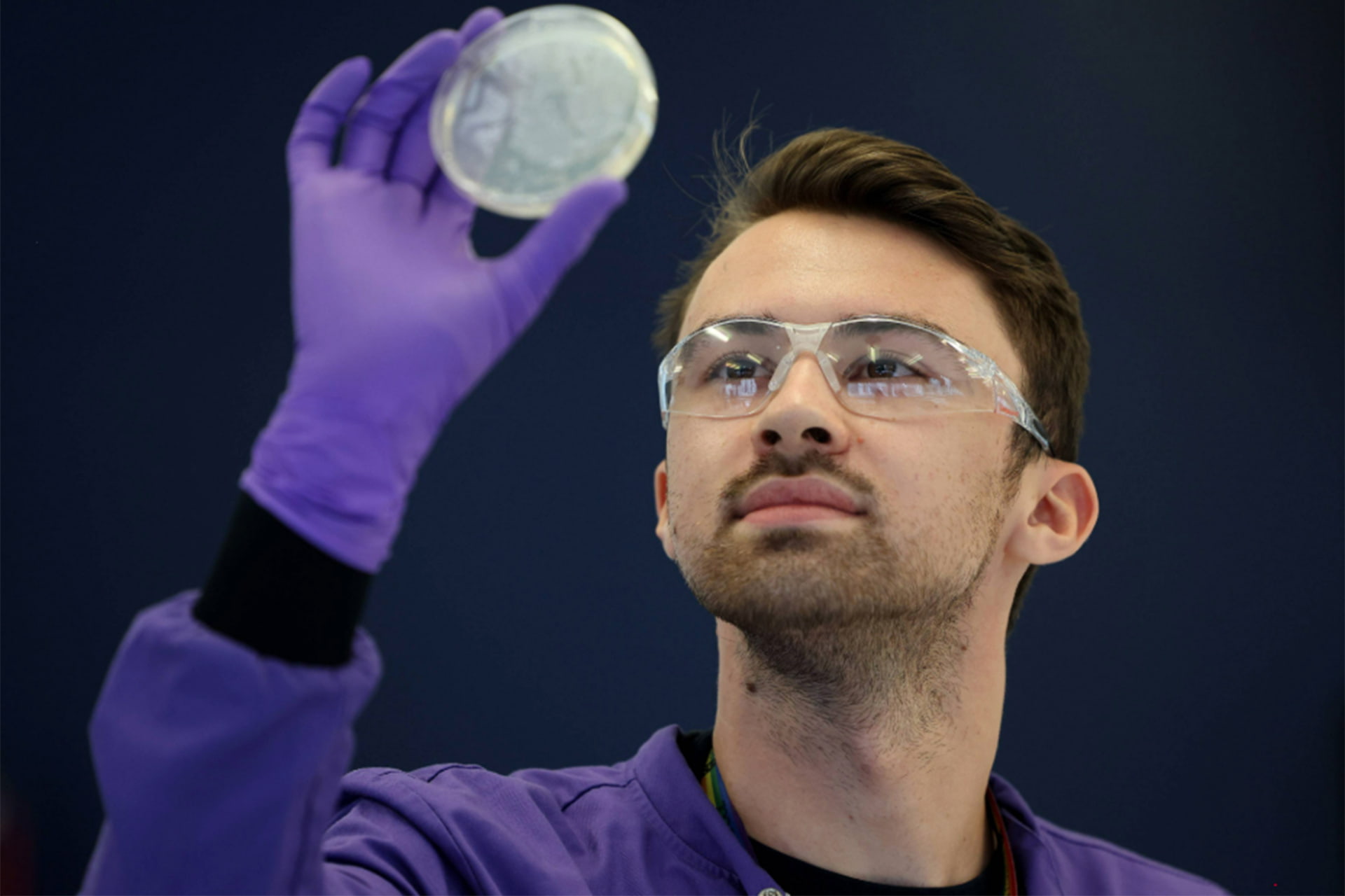 Scientist looking at petri dish