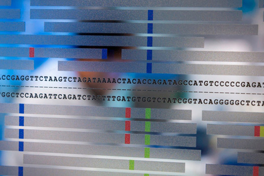 NERC Environmental Omics Facility