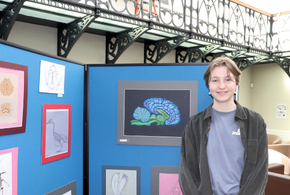 A student standing next to a posterboard filled with artwork from anatomy class