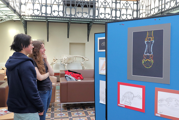 Students viewing the vets anatomy art exhibition