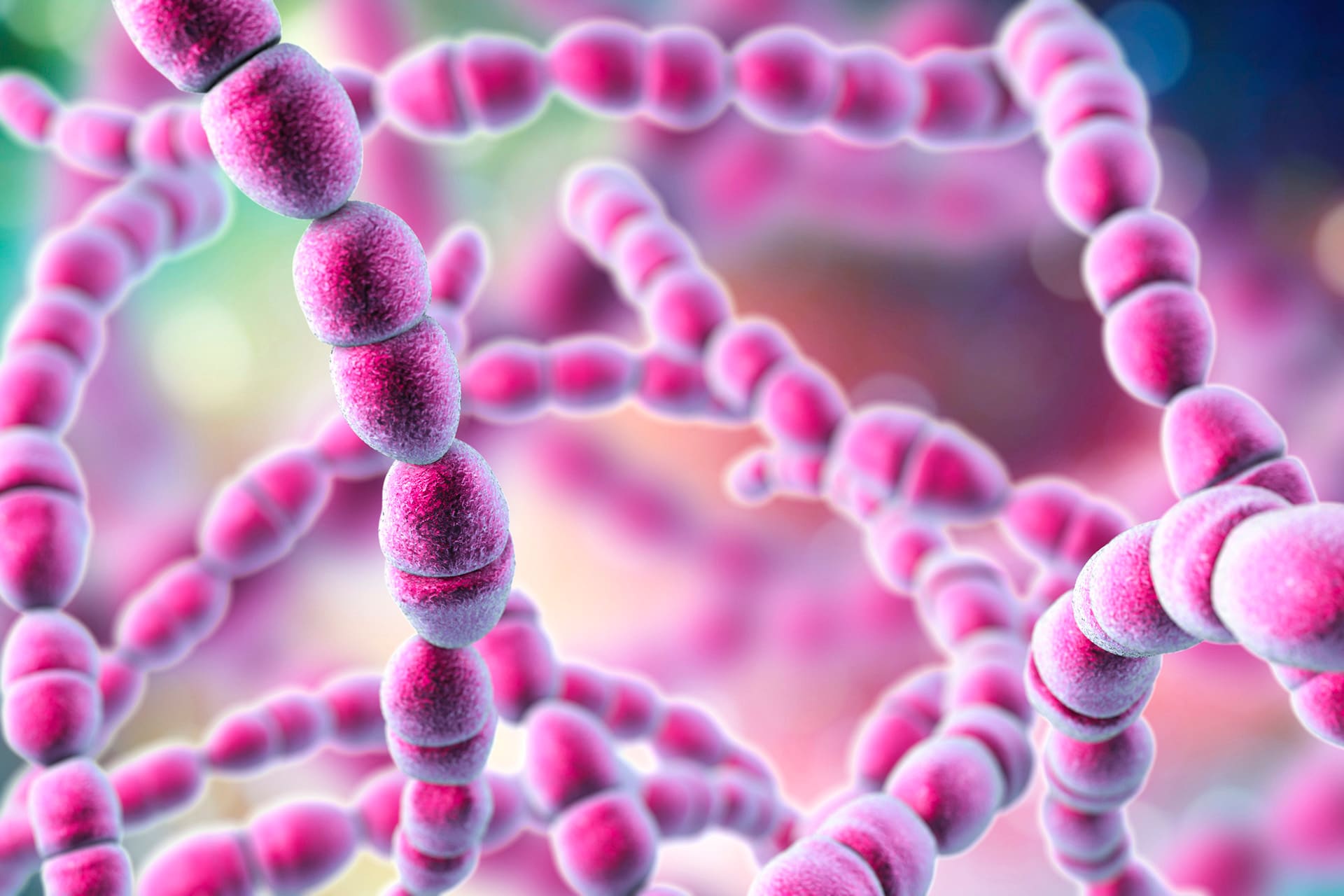 The Streptococcus Challenge: Can You Identify It? - g14mj6f