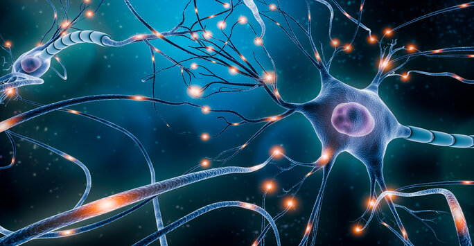 Neuronal network with electrical activity of neuron cells