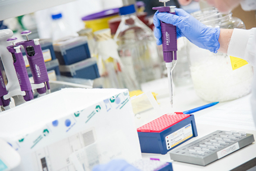 Research taking place in laboratory