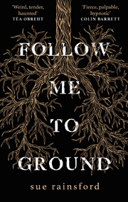 Book cover of Follow Me to the Ground by Sue Rainsford