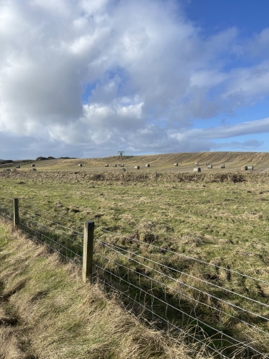 Colour photograph showing the Shandwick Stone at the top of a low hill, with large haybales and a fence in the meadows below it