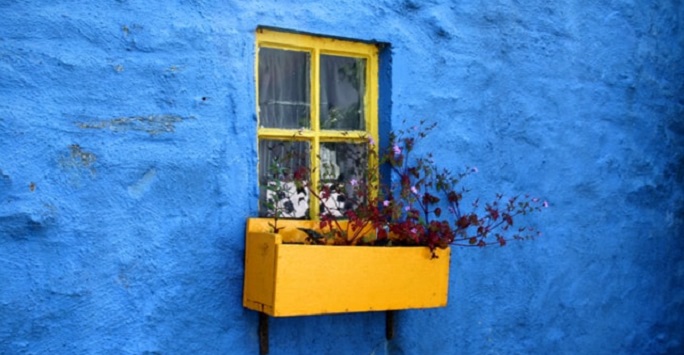 yellow window frame and window box against a bright blue wall