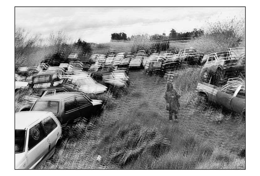 Person in a field of abandoned cars