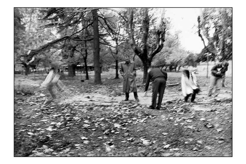People in a park