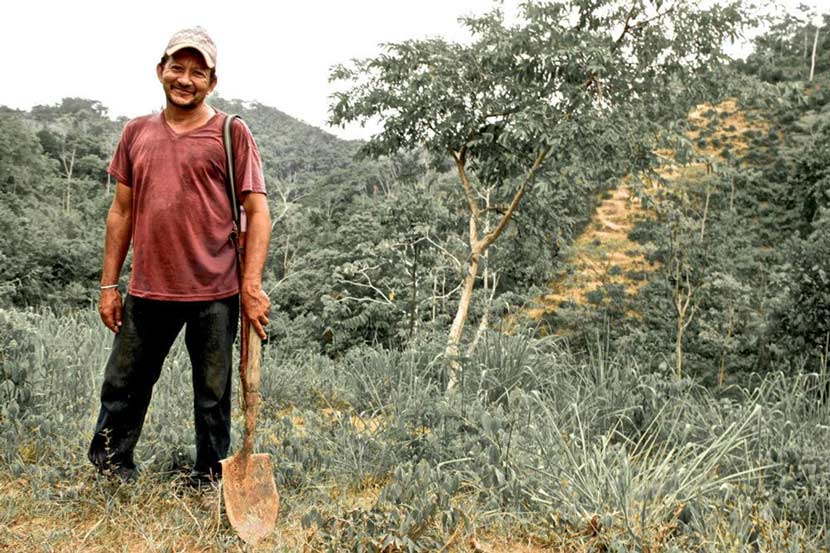 Man in rural lanscape, Columbia
