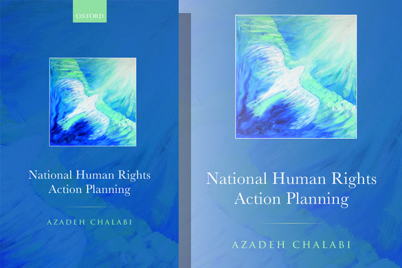 National Human Rights Action Planning book cover. Blue with a white bird