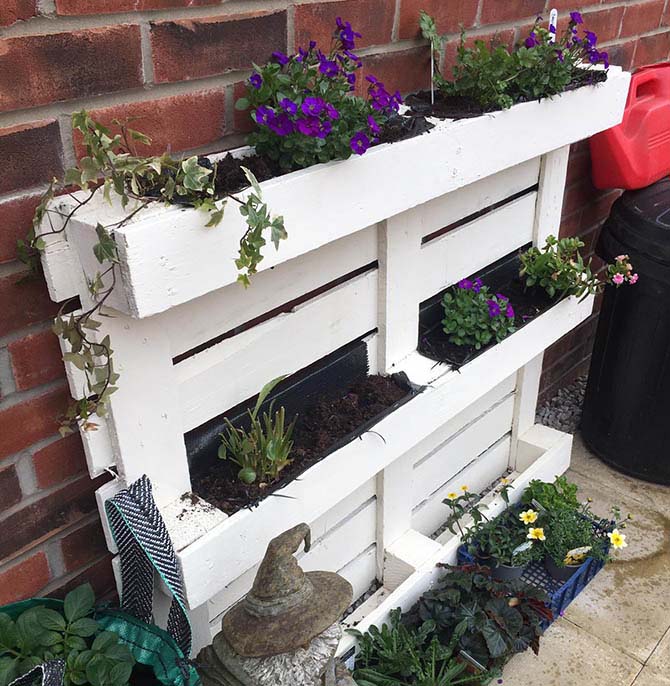 Wooden pallets transformed into flower bed