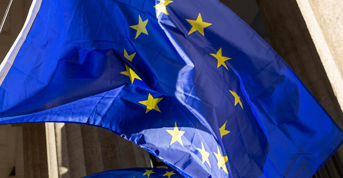 European Union Flag