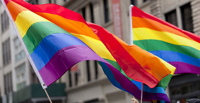 Image of the rainbow Pride flags