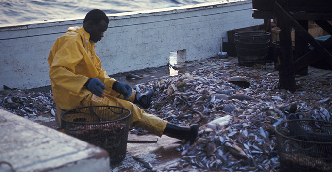 An image of a fisherman sitting on a boat with a large catch