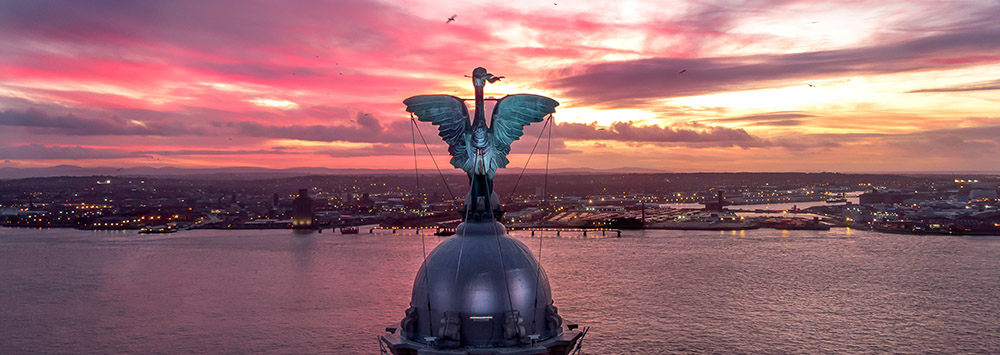Picture of Liver Bird looking out over the River Mersey