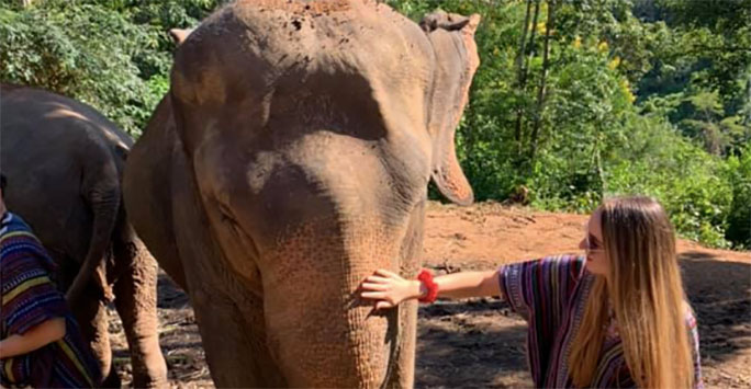 Image of student stroking elephant