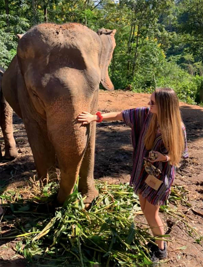 Image of student stroking elephant