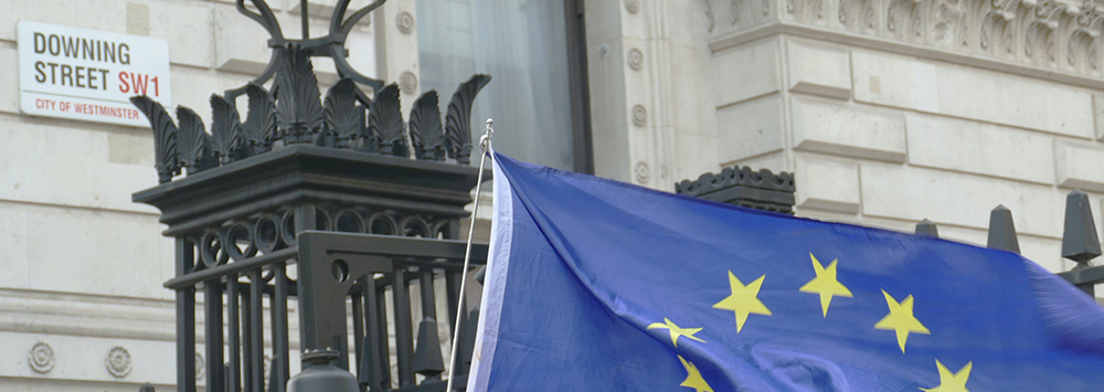 Downing Street sign and EU flag