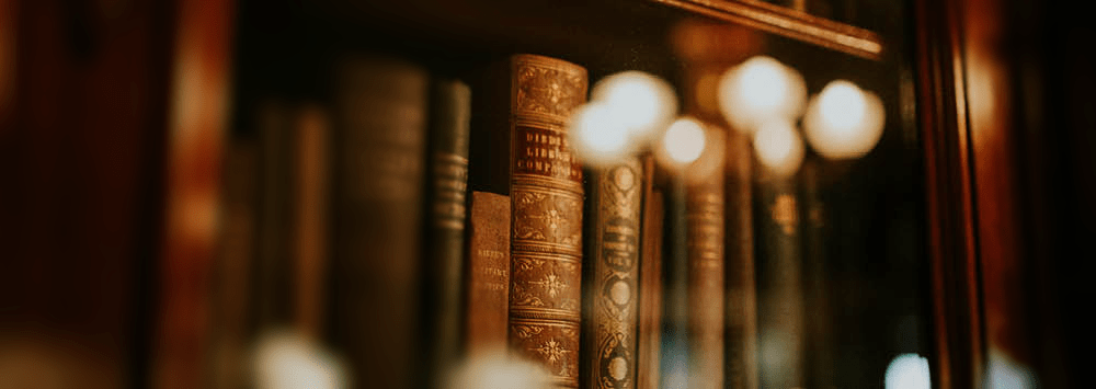 A row of books on a shelf.