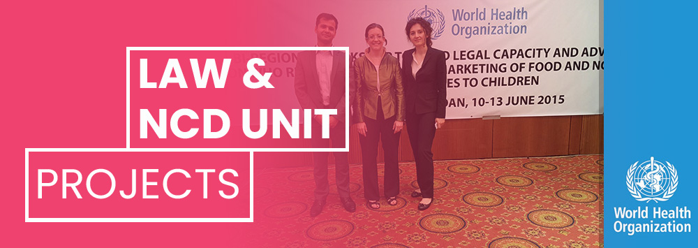 Prof Amandine Garde and colleagues at a World Health Organization event