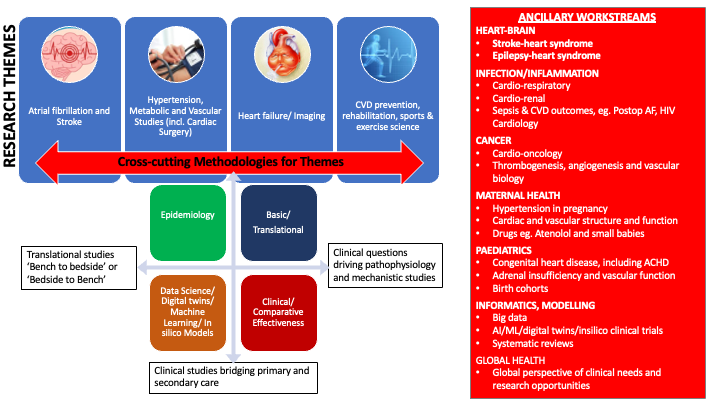 A diagram showing the centres research themes and how different methodologies are applied to them as well as a list of ancillary workstreams.