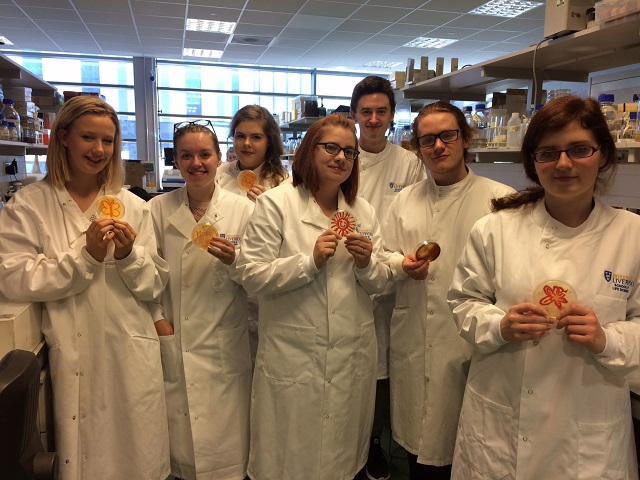 students in lab holding petri dishes with colourful bacteria