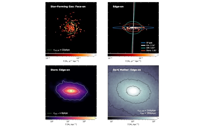 The star-forming gas, stars and dark matter comprising a star-forming central galaxy drawn from Recal-L025N0752