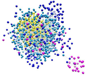 Typical network scenario