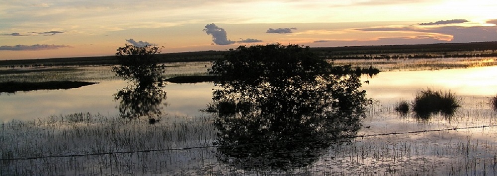 landscape across a lake at sunrise