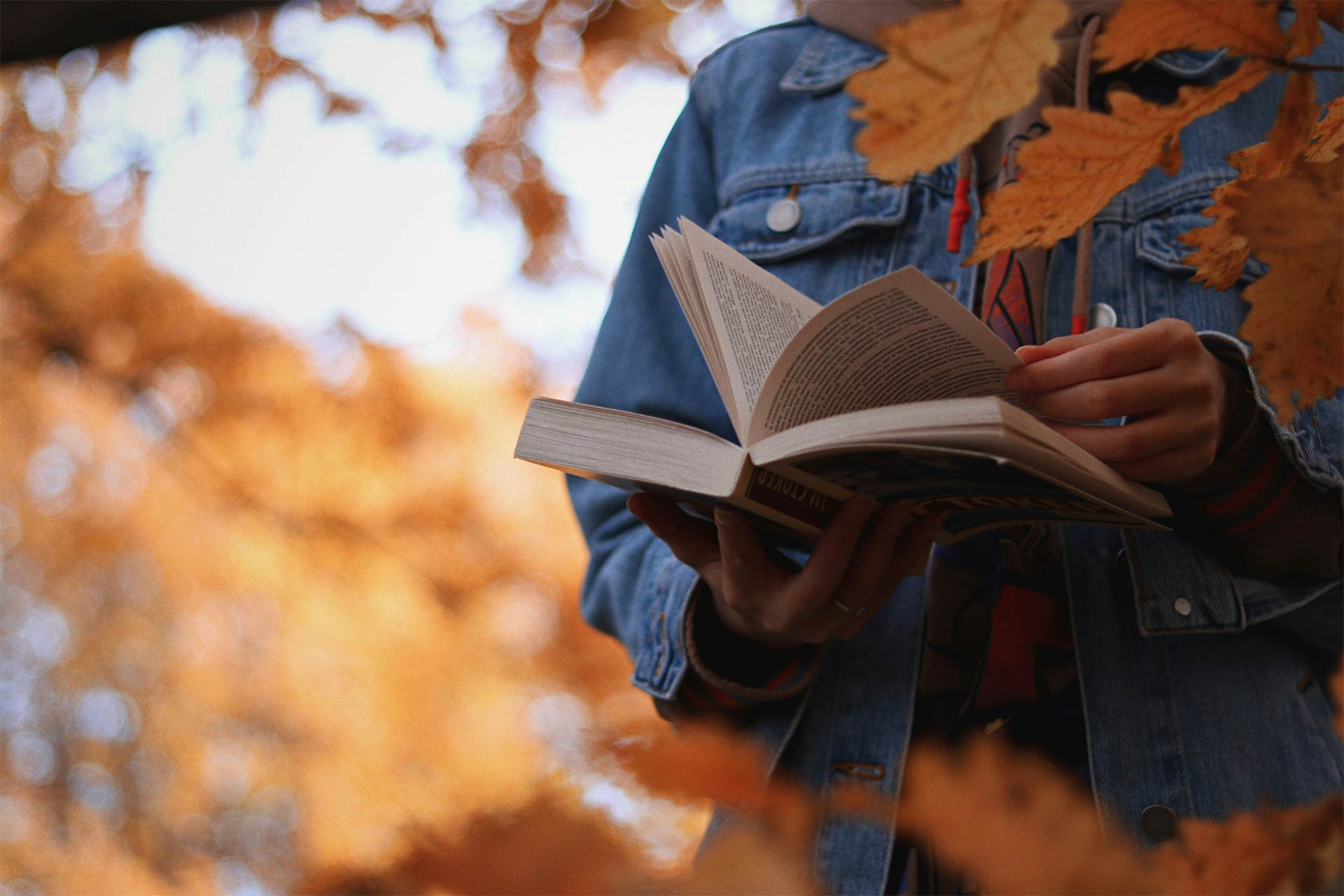 A person holding a book outside with orange autumn leaves in the forefront and background.