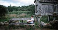 A boy reading a book