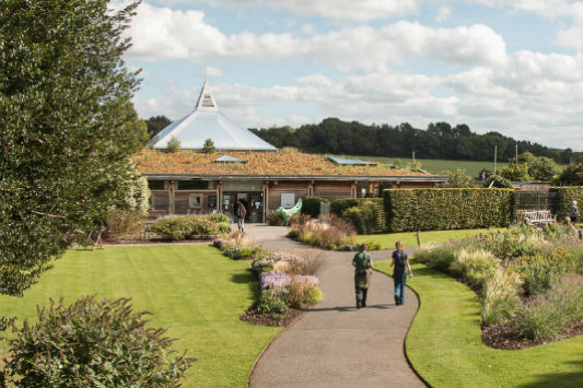 A path winding through the gardens from the Visitor Centre at Ness