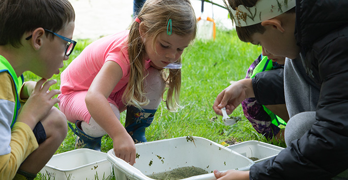 Children examine the findings from dipping a small tub in a pond during a school visit to Ness Botanic Gardens.
