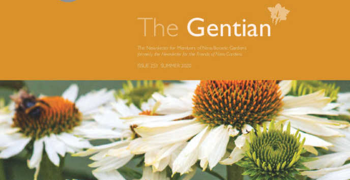 Gentian magazine cover 2020