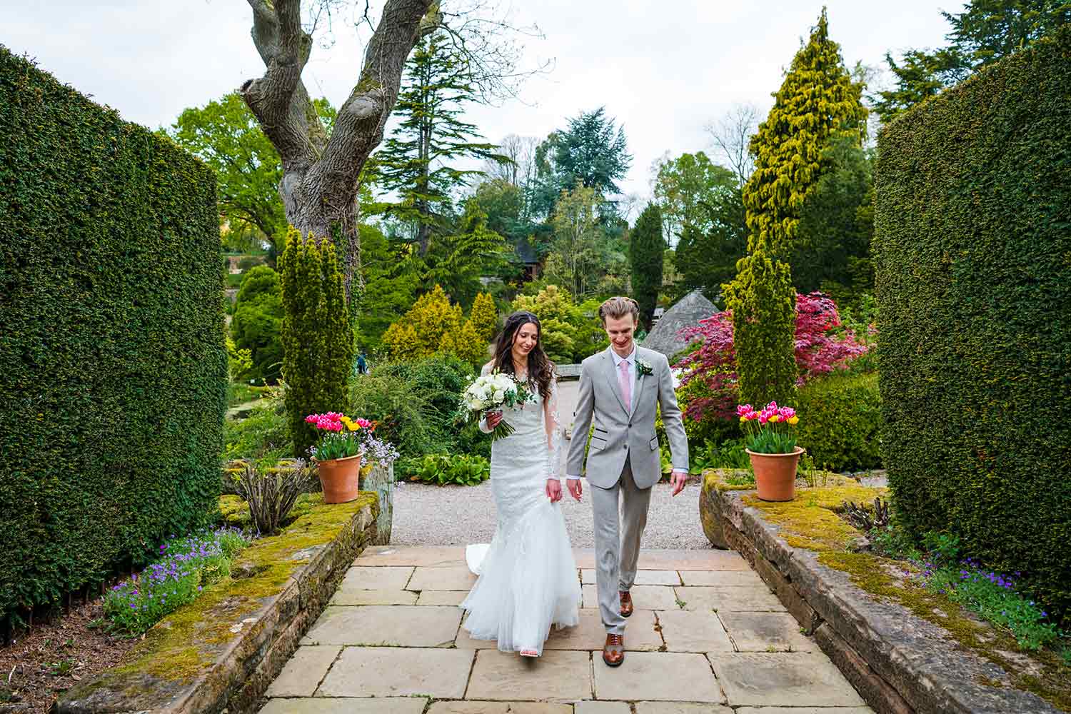 A couple walk through a hedge-lined path after their wedding ceremony.