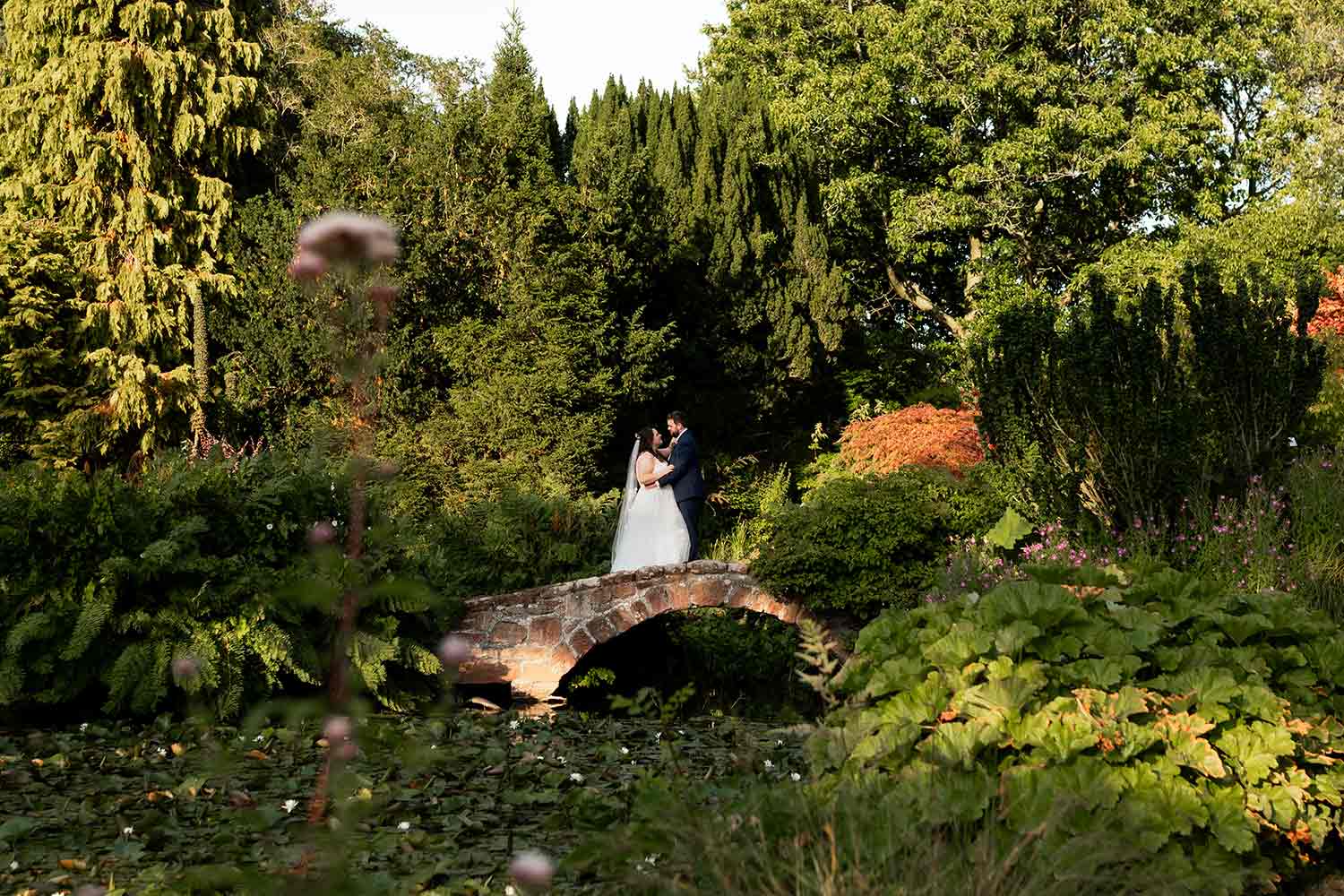 A couple embrace on a small bridge, overlooking a lily-covered pond.