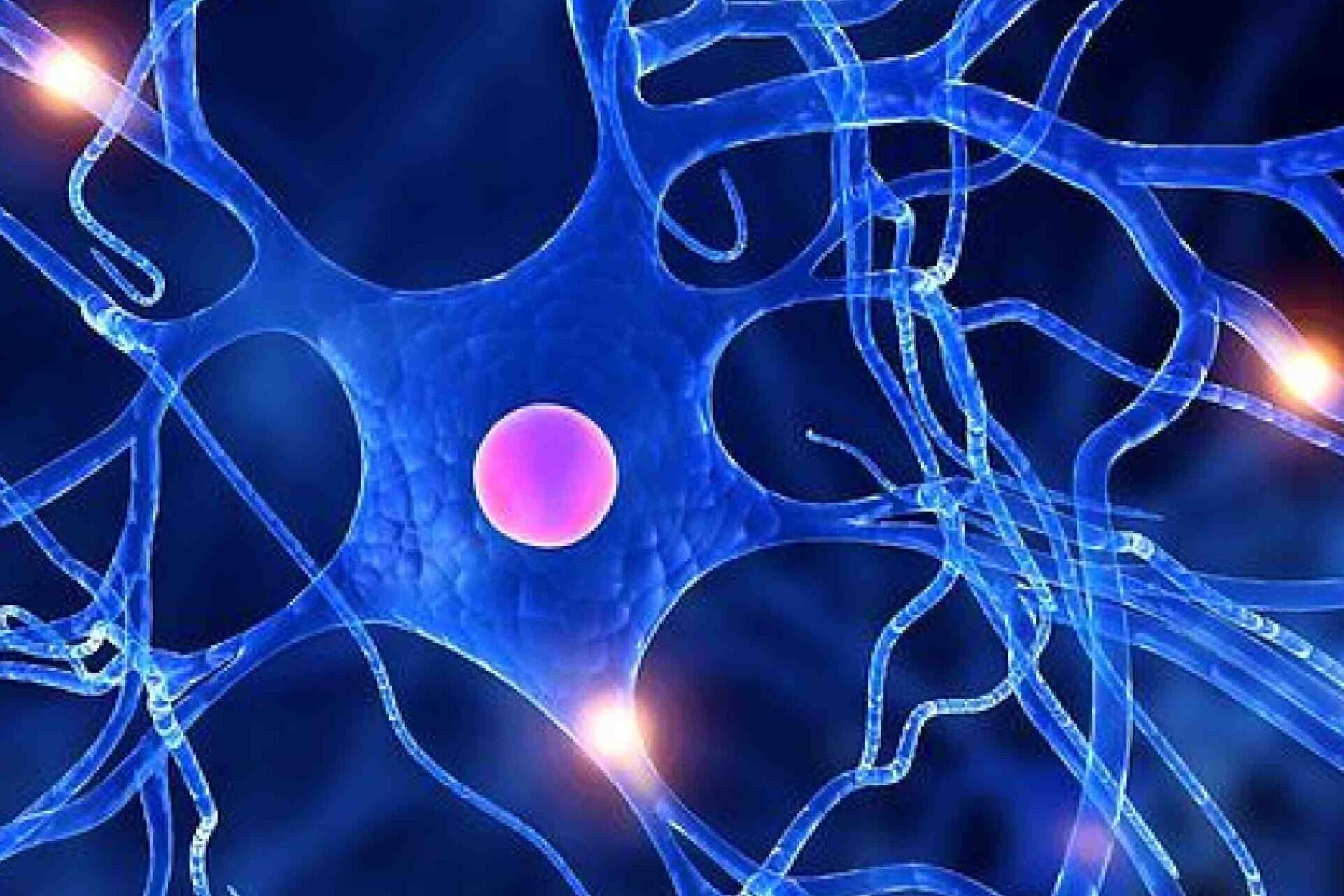 Image of a nerve cell