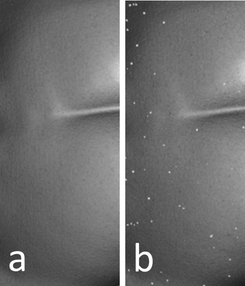 Detail of a 3D image of the body model acquired with an exposure time of 50 ms (a) and 250 ms (b).