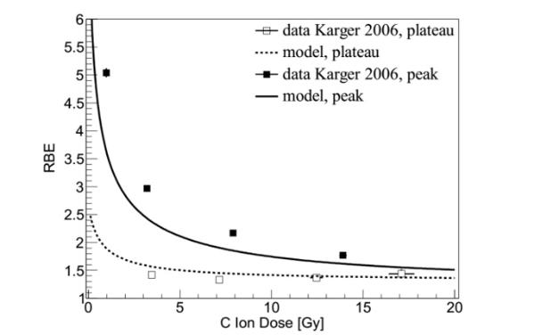 Predictions by BIANCA and experimental data of the Relative Biological Effectiveness as a function of carbon ion dose of the rat spinal cord.