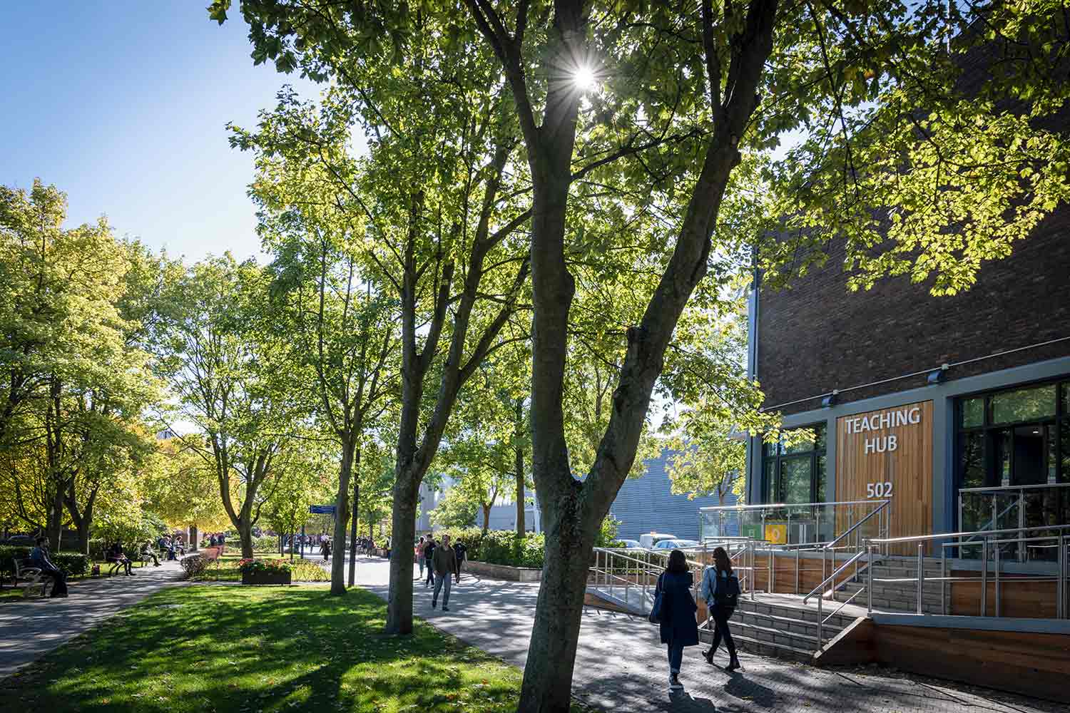 A tree-lined pedestrian walkway in the centre of campus, near the Teaching Hub.