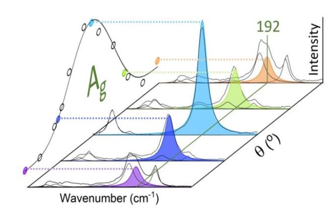 Raman spectra as a function of excitation polarisation orientation () for different crystal orientations allow the assignment of symmetries to individual vibrational modes (here at 192 cm-1). Reproduced with permission from N. Fleck et al. J. Mater. Chem. A (2020) DOI: 10.1039/D0TA01783C - Published by The Royal Society of Chemistry.