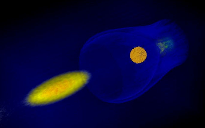 Simulation of a plasma wakefield with ALaDyn PIC code (Image credit A. Marocchino, INFN-LNF)