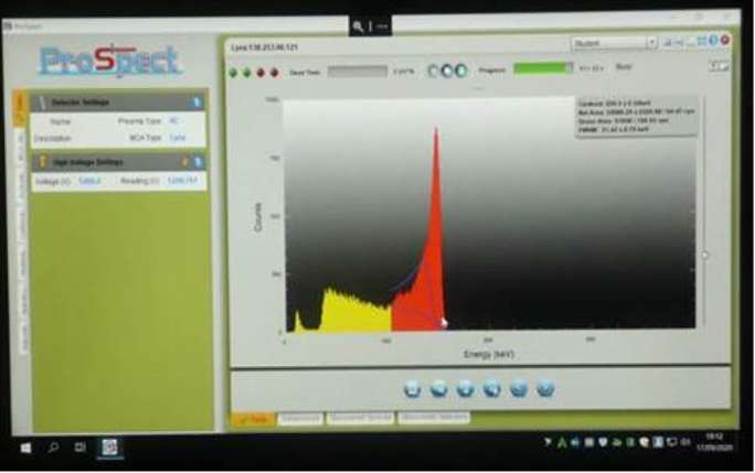 Snapshot of a detector signal taken from a home laptop screen