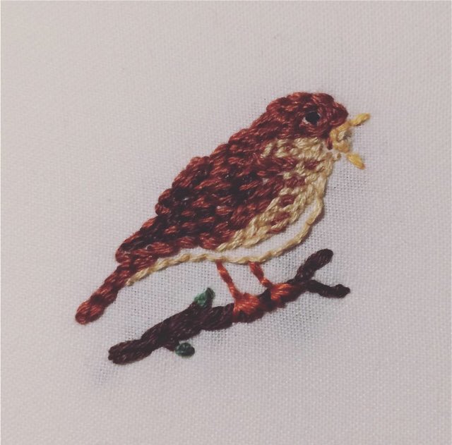 An embroidered nightingale