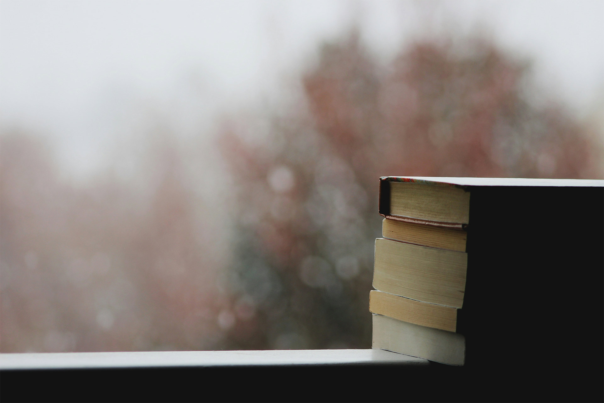 A stack of books in a window overlooking a wintery background