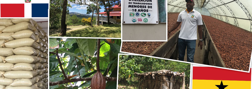 Collage of images relating to the cocoa manufacturing process