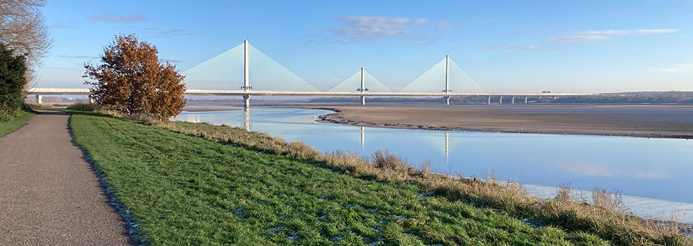 Mersey Gateway bridge viewed from waterside path