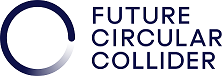 FCCIS Logo