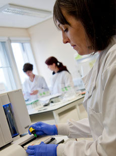 Female researcher in the lab